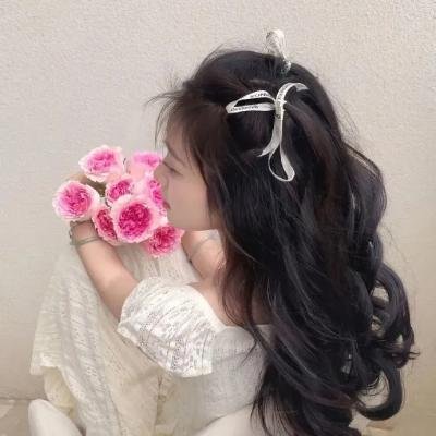 金权性内幕封面