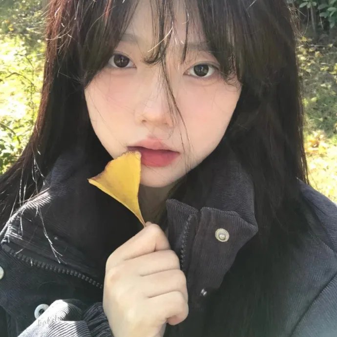 高清大片